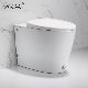 Pulse Solenoid Smart Toilet Sanitary Ware Without Water Tank manufacturer