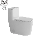Ovs Cupc White Color Wc Bathroom Siphonic Flush One Piece Ceramic Toilet Sanitary Ware manufacturer