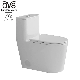 Ovs Cupc White Color Wc Bathroom Siphonic Flush One Piece Ceramic Toilet Sanitary Ware