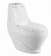 Africa Market Golden Dragon Wash-Down One Piece Bathroom Toilet for Sale P-Strap Sanitary Ware manufacturer