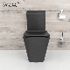  Matte Black Watermark Toilet Two Piece Twyford Toilet Sanitary Ware