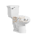Good Quality Sanitaryware Ceramic Bathroom Siphonic Two 2 Piece Set Wc Toilet manufacturer
