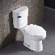 Two Piece Toilet Bathroom Washdown Toilet Ceramic Sanitaryware Toilet manufacturer