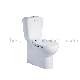 CE Ceramic Wc Two Piece Bathroom Toilet P-Trap for Adult Sanitary Ware manufacturer