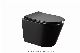  Matte Black Color Wall Hung Toilet UF Seat Covet Once Fired Never Fade Wall Mounted Wc Toilet Closet Sanitary Ware