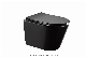 Matte Black Color Wall Hung Toilet UF Seat Covet Once Fired Never Fade Wall Mounted Wc Toilet Closet Sanitary Ware