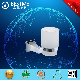  Single Tumbler for Bathroom Sanitary Ware Fitting (BG-D17006)