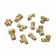 Copper Brass Male Female Prices for PVC Pipe Tube Air Compression Quick Push Press Ferrule Elbow Tee Nipple Connector Fittings manufacturer