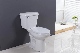 Competitive Price Sanitary Ware Wc Top Botton with Cupc
