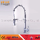 Brass Kitchen Sink Faucet Classic Mixer Single Handle Hy-61008