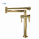 Double Lever Handle with Dual Joint Swing Arm Sink Faucet Titanium Gold Kitchen Pot Filler Faucet