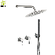 Stainless Steel Two Handles in Wall Mounted Concealed Shower Faucet