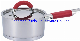 Kitchen Ware of 2PCS Stainless Steel Saucepan in Silicon Handle manufacturer