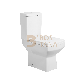  China Factory Bathroom Wc Washdown Toilet Two Piece Toilet Ceramic Sanitaryware