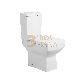 China Factory Bathroom Wc Washdown Toilet Two Piece Toilet Ceramic Sanitaryware