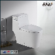 Chaozhou Toilet Factory Upc 1 Piece Toilet Dual Flush Water Closet Ceramic Bathroom Toilet Sanitary Ware