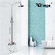 Bathroom Fittings Shower Set Mixer Stainless Steel Sanitary Ware Shower manufacturer