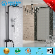  Sanitaryware Bathroom Single Handle Brass High Quality Rain Shower (Bm801107b)