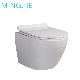 Wholesale Round One Piece Tankless Toilet Bowl Sanitary Ware Ceramic Floor Mounted Wall Hung Toilet