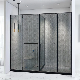  Hinge Shower Cabin Double Two Glass Door with Towel Handle Size Customized