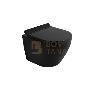 New Non-Standard Custom Matte Black Sanitary Ware Bathroom Wc Wall Hung Toilet