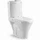 Good Quality Standing Floor Toilet Washdown Two-Piece Toilet Ceramic Sanitaryware manufacturer