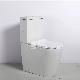 with Bathroom Watermark Certification Ceramic P-Trap Two-Piece Toilet Sanitary Ware manufacturer