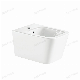 New Style Hot Sale Wall Mounted Square Shape Bathroom Single Hole Hanging Ceramic Personal Bidet manufacturer