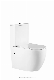 Watermark Two Piece Toilet Big Size Rimless Couple Closet Toilet Bowl Sanitary Ware Wall Mounted Wc