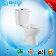 40 Hq High Quality Popular Sanitary Ware Ceramic Two Piece Washdown Toilet Bc-2070e