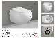  Toilet P-Trap Rimless Ceramic Bathroom Sanitaryware Toilet Sanitaryware 848-2e
