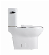 Side Flush Ceramic Wc Water Closet Bathroom Dual Flush Toilet Bowl Sanitary Ware