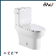 Hot Selling Sanitary Ware for Two Piece Siphonic Flushing Ceramic Bathroom Toilet