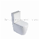High Quality 3/4.5L Bathroomwc Dual-Flush Floor Mounted Toilets Open Back Rimless Two-Piece Water Closet Toilet Sanitaryware manufacturer