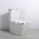 China Bathroom P-Trap Sanitary Ware Two-Piece Toilet Ceramic Square Design manufacturer