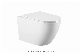 Big Size Wall Hung Toilet Wall Mounted Wc Rimless White Toilet Ceramic Bathroom Sanitary Ware manufacturer