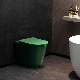 P-Trap S-Trap Bidet Bathroom Floor Mounted White Sanitary Ware Water Closet Toilet manufacturer