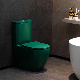 Actory Watermark Bathroom Wares Soft Close Cover Sanitary Ware Ceramic One Piece Toilet manufacturer