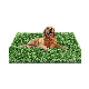 Green Artificial Carpet Simulated Grass Turf Thick Pet Lawn Dog Toilet manufacturer