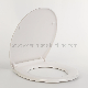  Aobo Sanitary Ware Bathroom Toilet Seat Wholesale Plastic Toilet Seat Bidet Ap522