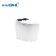 Sanitary Ware Smart Toilet One-Piece Closet Toilet Sanitary Ware