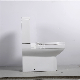  Washdown European Design Sanitary Ware P-Trap Cheap Two Piece Toilet