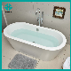 CE Approved Fashion Type Massage Accessory Style Air Combo Feature Eco Material Freestanding/Acrylic Tub Bathtub Acrylic Freestanding