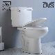  2 Piece Commode Ceramic Bathroom Sanitary Ware Washdown Wc Set Toilet