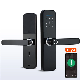 Tuya Fingerprint Smart Door Lock for Front Door manufacturer