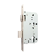 Wholesale Personality Mortise Lock with Wood
