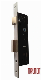 SS304 Door Mortise Latch Lock Roller Lock for Metal Door
