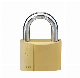  High Security European Model Brass Padlock (018)