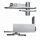 Stainless Steel Pivot Hinge for Wooden or Glass Shower Door