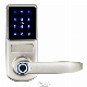 Security Home WiFi APP Smart Electronic Deadbolt Ttlock Lock manufacturer